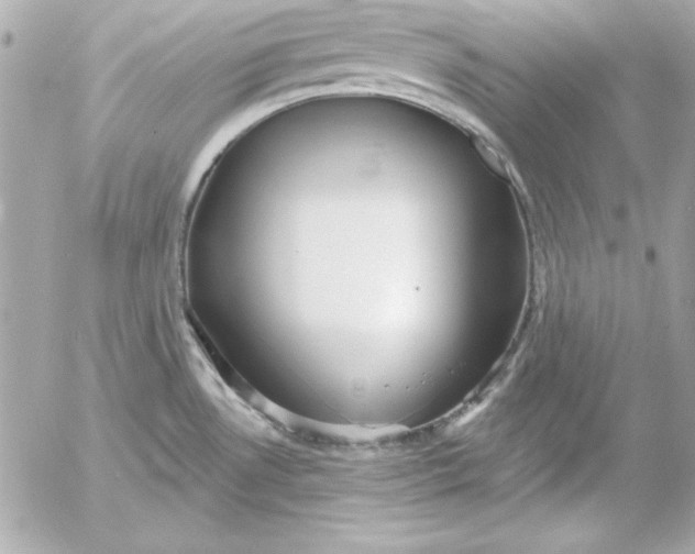 X0000054441530200508191558