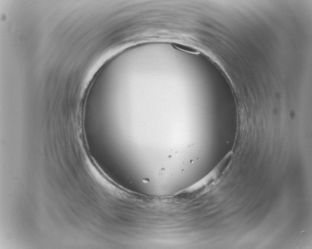 X0000054441531200508191558