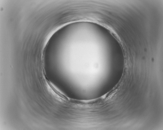 X0000054441532200508191558