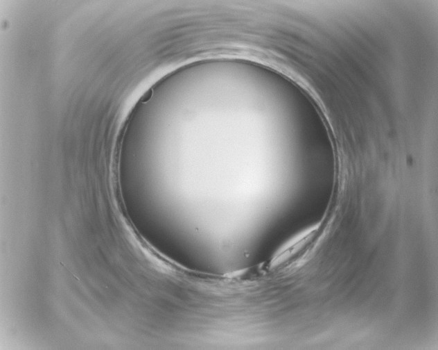 X0000054441533200508191558