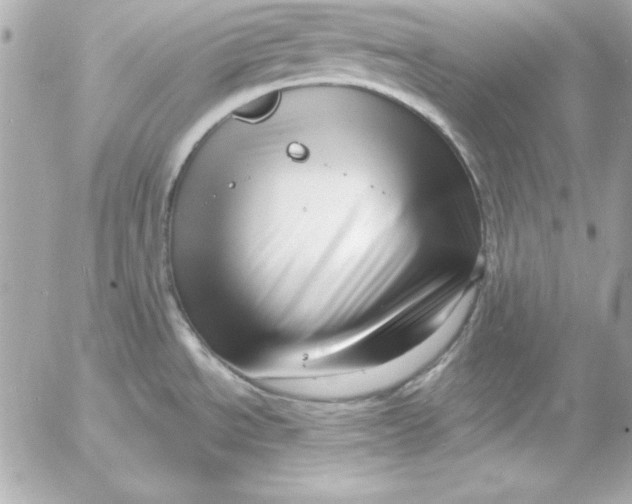 X0000054441534200508191558