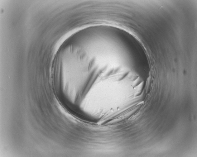 X0000054441535200508191558