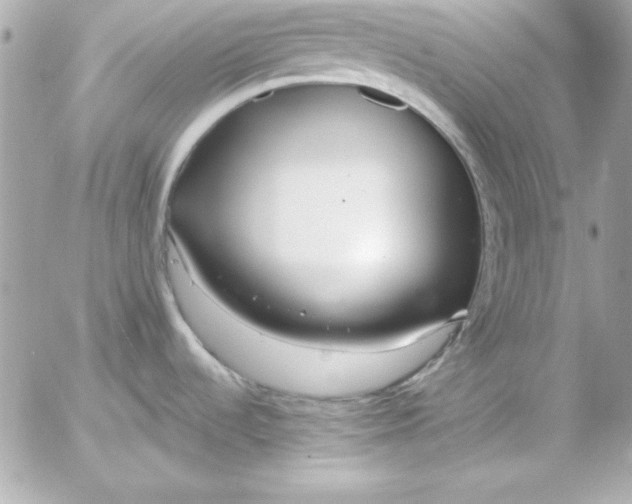 X0000054441536200508191558