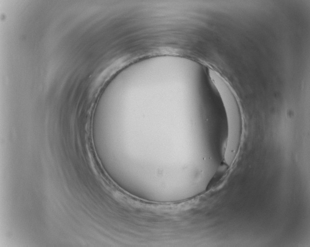 X0000054440001200508270024