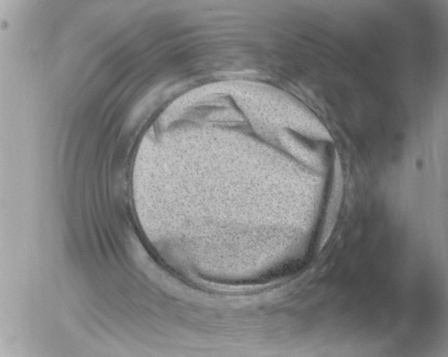 X0000054440002200508270024