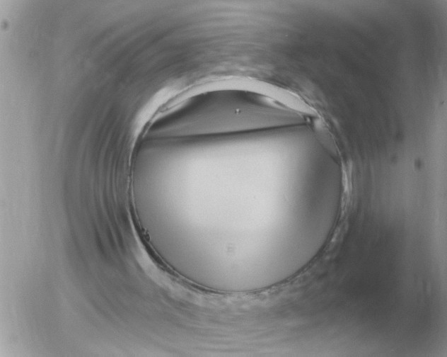 X0000054440003200508270024