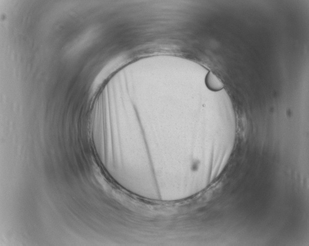 X0000054440004200508270024