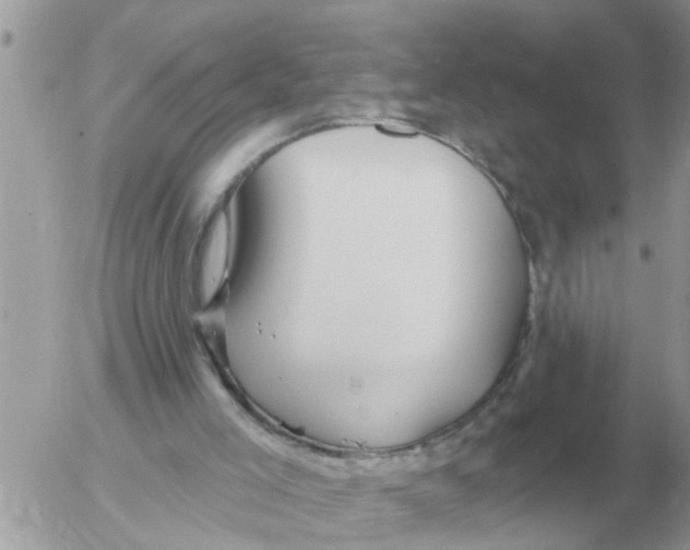 X0000054440005200508270024