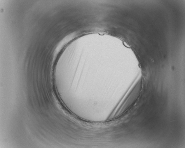 X0000054440006200508270024