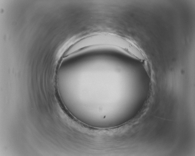 X0000054440007200508270024