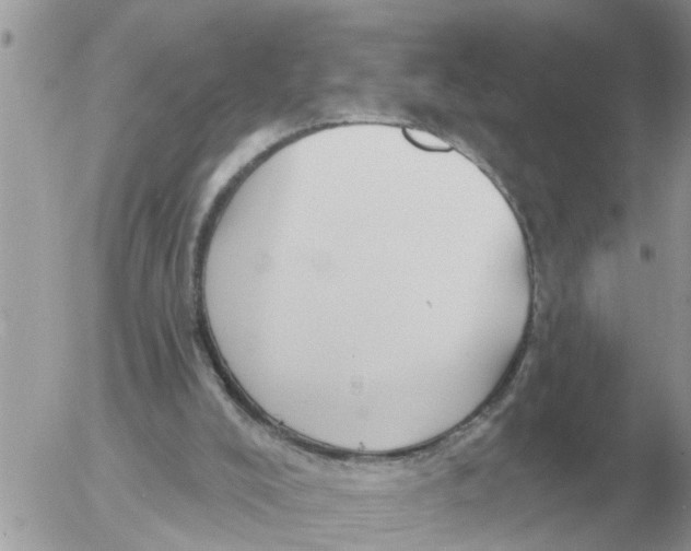 X0000054440008200508270024