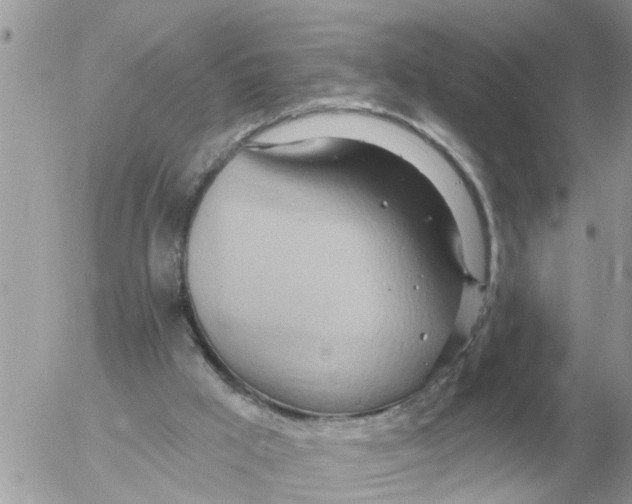 X0000054440009200508270024