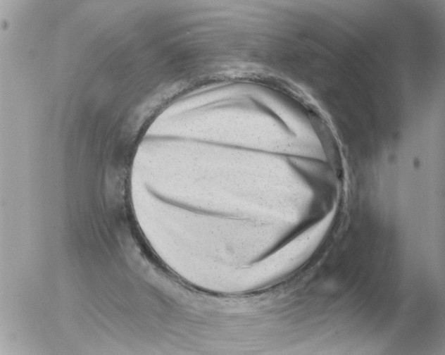 X0000054440010200508270024