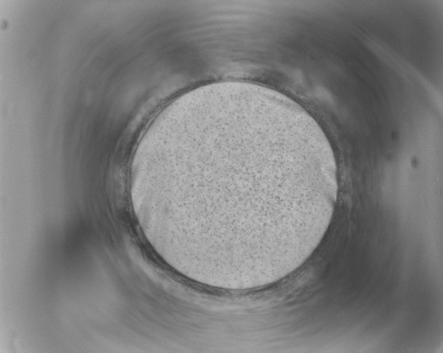 X0000054440012200508270024