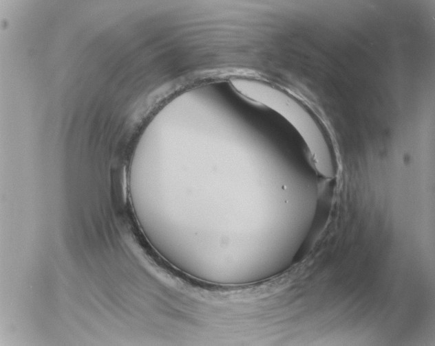 X0000054440013200508270024