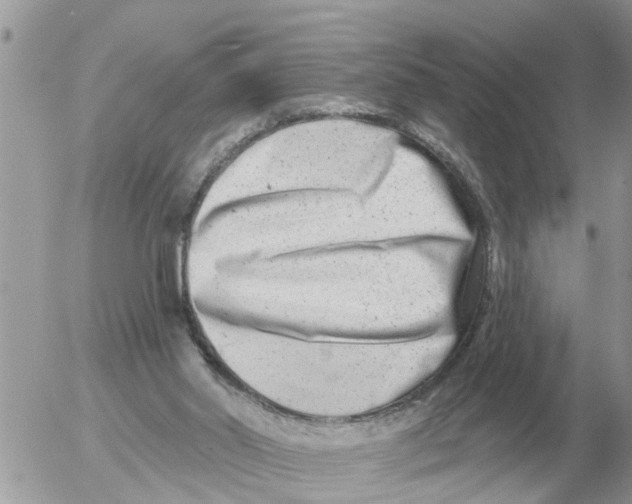 X0000054440014200508270024