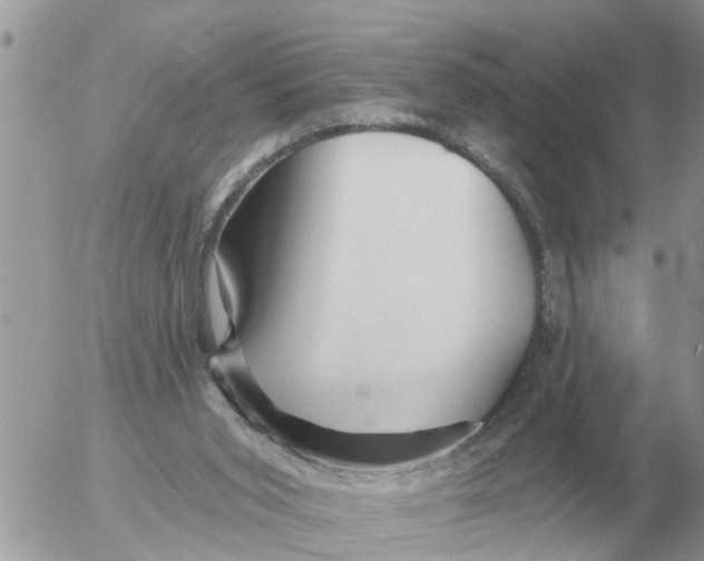 X0000054440015200508270024