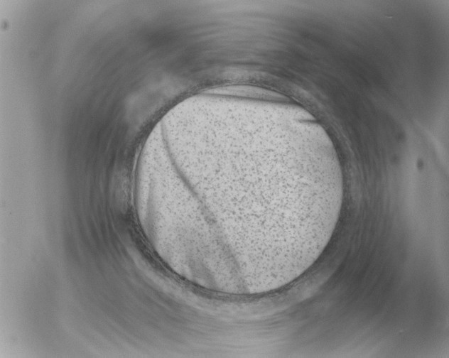 X0000054440016200508270024