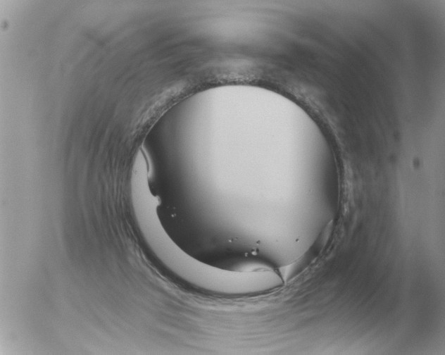 X0000054440017200508270024