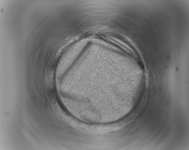 X0000054440018200508270024