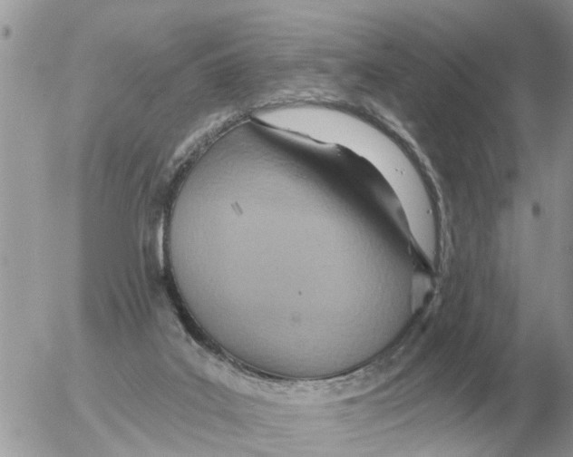 X0000054440019200508270024