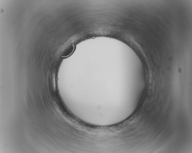 X0000054440020200508270024