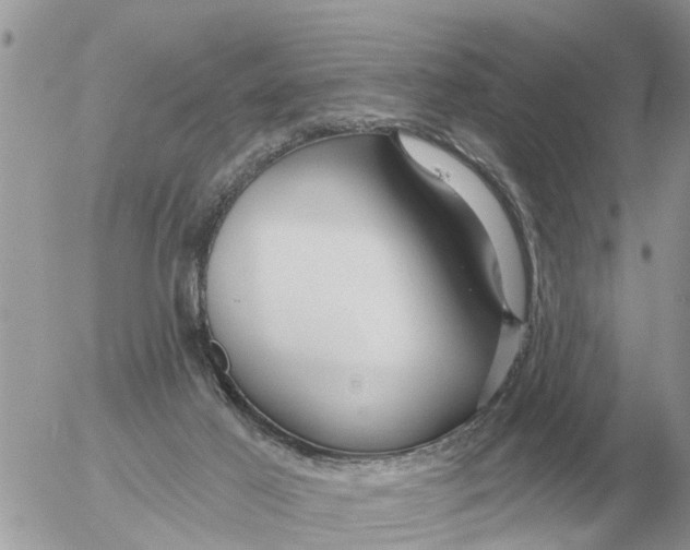 X0000054440021200508270024