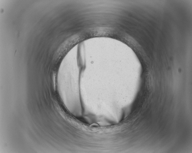 X0000054440022200508270024