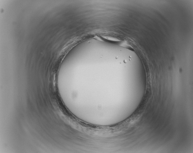 X0000054440024200508270024