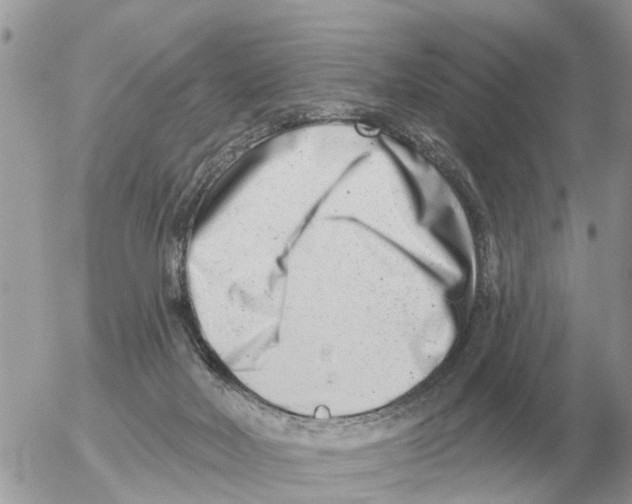 X0000054440026200508270024