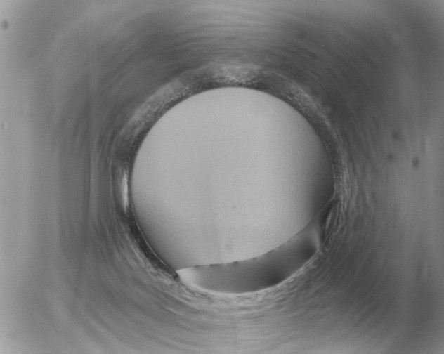 X0000054440027200508270024