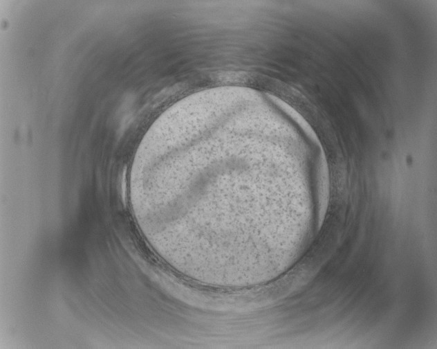 X0000054440028200508270024