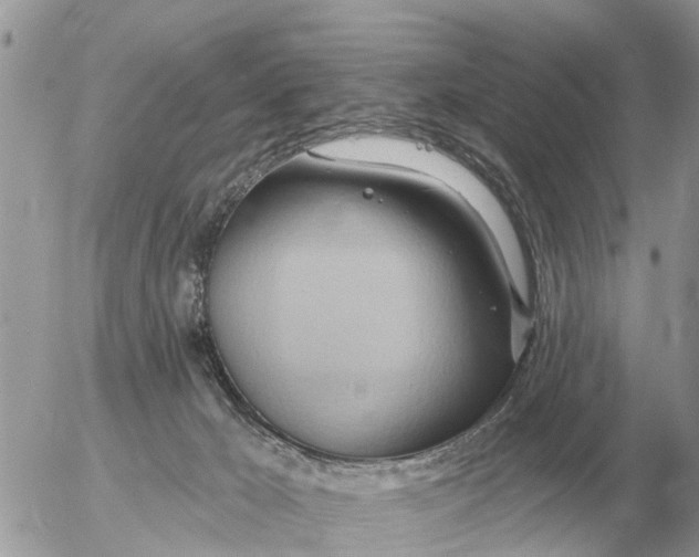 X0000054440029200508270024