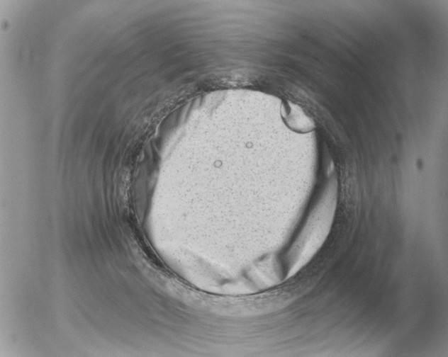 X0000054440030200508270024