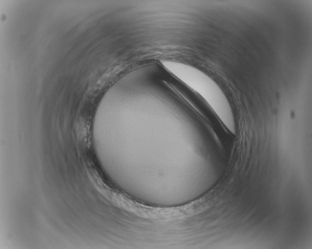 X0000054440031200508270024