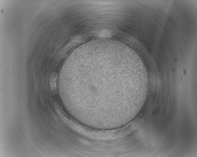 X0000054440032200508270024