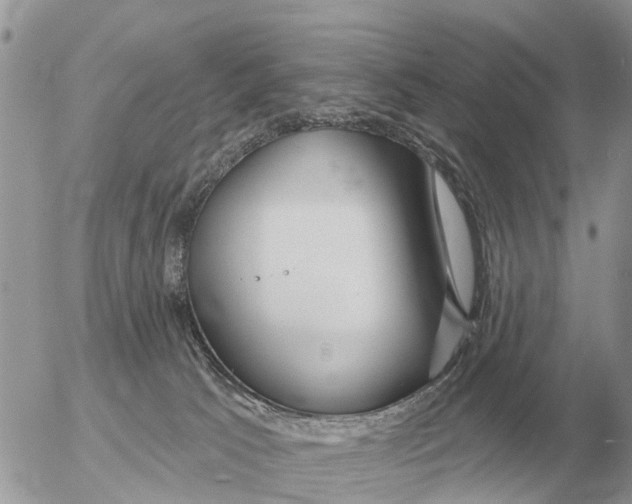 X0000054440033200508270024