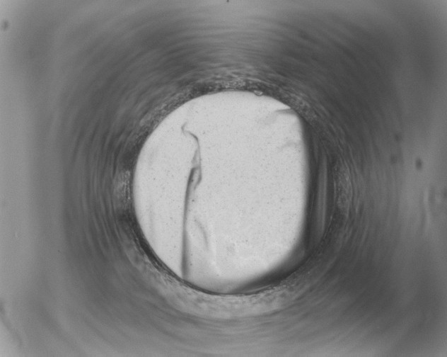 X0000054440034200508270024