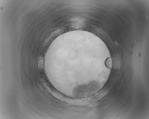 X0000054440036200508270024