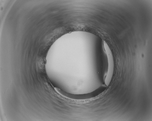 X0000054440037200508270024