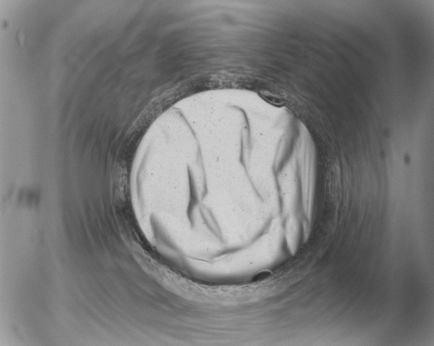 X0000054440038200508270024