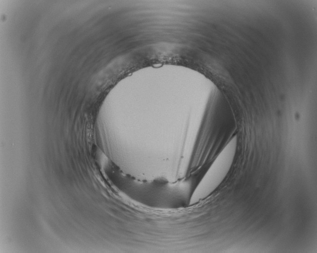 X0000054440039200508270024