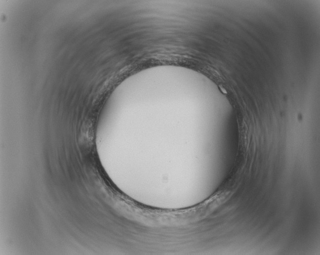 X0000054440040200508270024