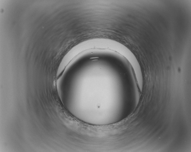 X0000054440041200508270024