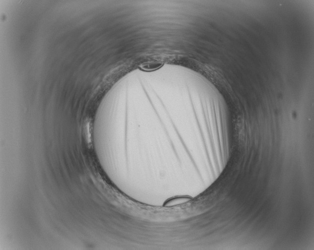 X0000054440042200508270024