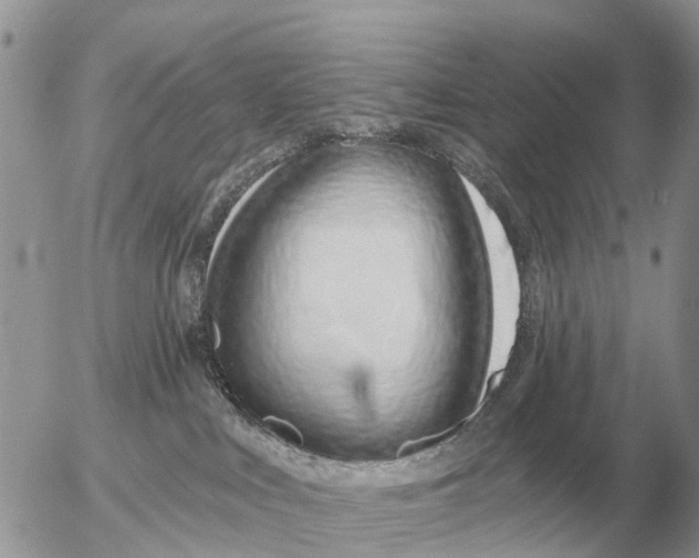 X0000054440043200508270024