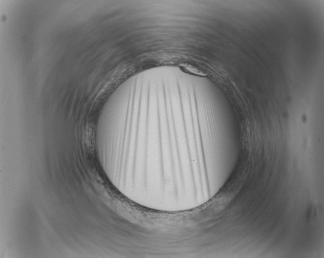 X0000054440044200508270024