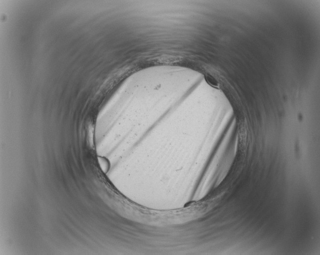 X0000054440046200508270024