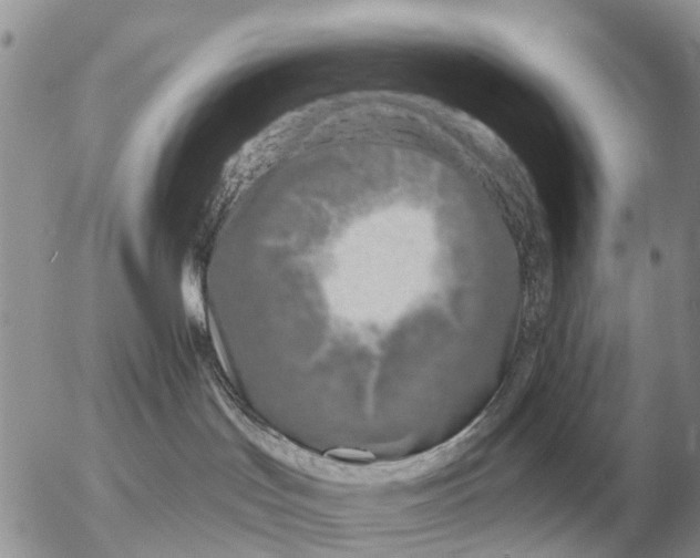 X0000054440047200508270024