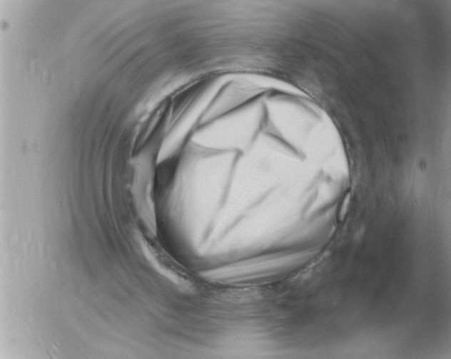 X0000054440050200508270023